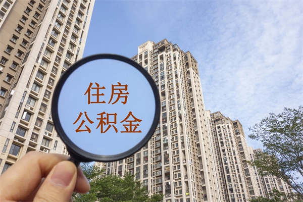 舞钢公积金可以取出来消费吗（公积金可以取现吗?）